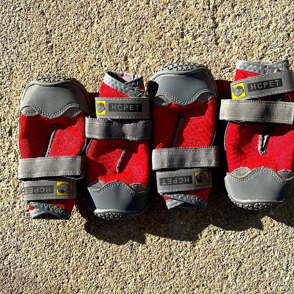 HC Pets SZ 6 dog shoes